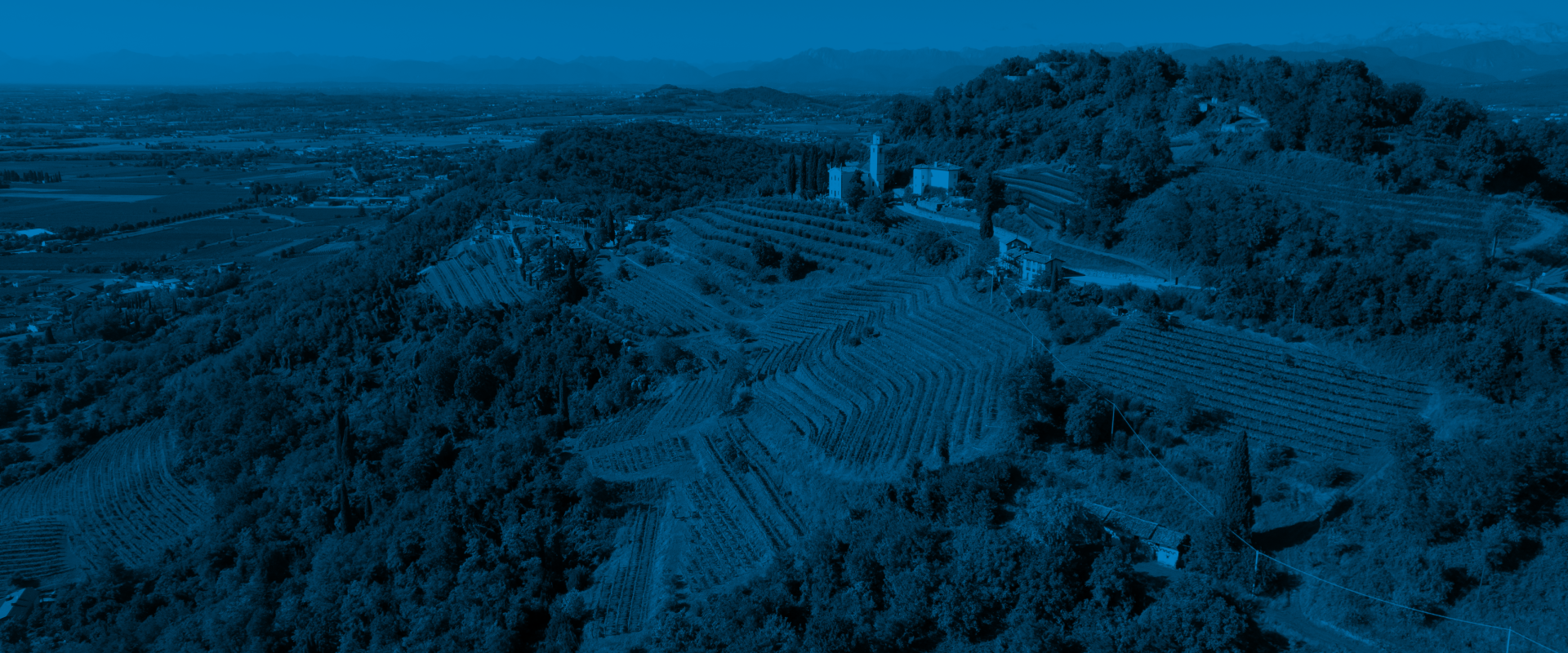 Il collio goriziano tra Italia e Slovenia/Goriška Brda med Italijo in ...